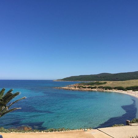 Ajaccio Magnifique T2 45M2 Neuf 5 Personnes Clim Wifi Stationnement Gratuit Centre Ville Plage A 300M 외부 사진