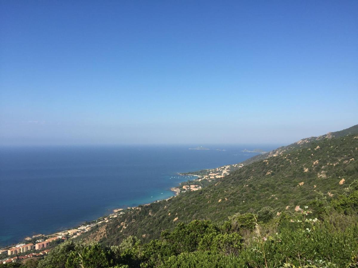 Ajaccio Magnifique T2 45M2 Neuf 5 Personnes Clim Wifi Stationnement Gratuit Centre Ville Plage A 300M 외부 사진